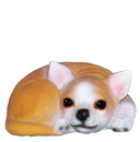 Curled Up Chihuahua Plaster Statue