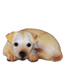 Curled up Puppy A Plaster Statue