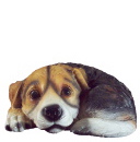 Curled up Puppy B Plaster Statue