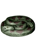 Coiled up Snake Plaster Statue