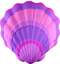 Seashell Plaster Plaque