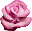 Single Rose Plaster Plaque