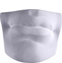 Davids Parts Mouth Plaster Plaque