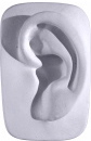 Davids Parts Ear Plaster Plaque