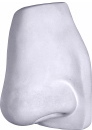 Davids Parts Nose Plaster Plaque