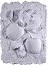 Apples Plaster Plaque