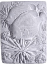 Angelfish Plaster Plaque