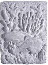 Clown Fish Plaster Plaque