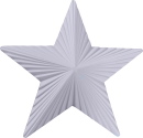 Faceted Star Plaque