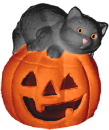 Cat on Pumpkin Small Plaster Statue