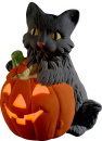 Fluffy Cat on Pumpkin Plaster Lightup Statue