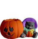 Kitten as Pumpkin with Jack O Lantern Plaster Statue
