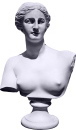 Venus Bust Plaster Statue