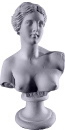 Venus Miniature Bust Plaster Statue