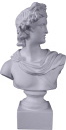 Apollo Plaster Statue