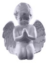 Cherub Praying Plaster Statue