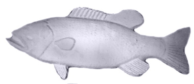 Bass Plaster Plaque Large