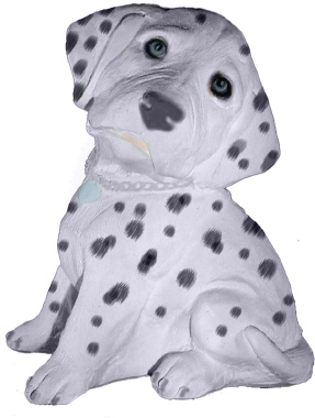 Dalmatian Puppy Plaster Statue