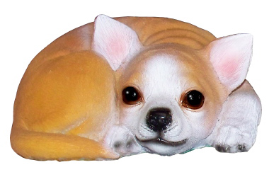 Curled Up Chihuahua Plaster Statue