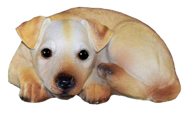 Curled up Puppy A Plaster Statue