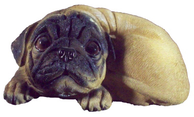 Curled up Pug Plaster Statue