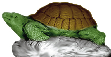 Box Turtle Plaster Statue