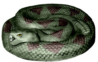 Coiled up Snake Plaster Statue