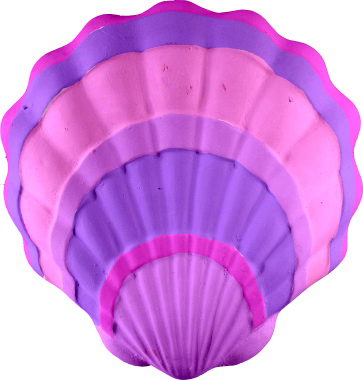 Seashell Plaster Plaque
