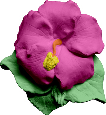 Hibiscus Flower Plaster Plaque