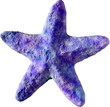 Starfish Plaster Plaque Large