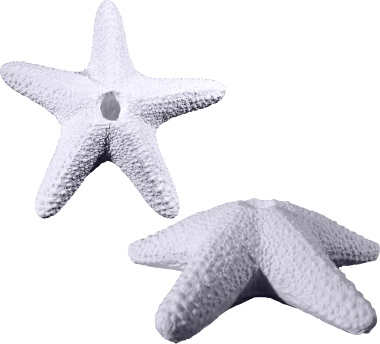 Starfish Plaster Candleholder