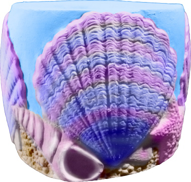 Seashells Plaster Pencil Holder
