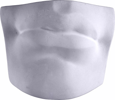 Davids Parts Mouth Plaster Plaque