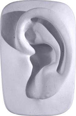 Davids Parts Ear Plaster Plaque