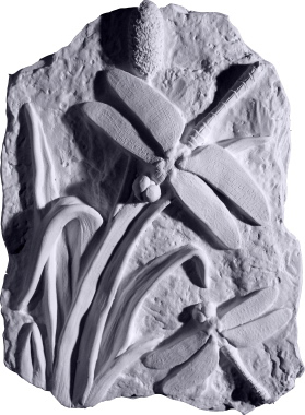 Dragonfly Plaster Plaque