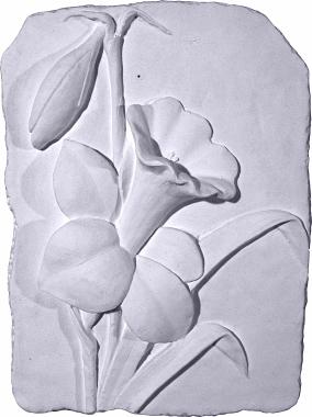 Daffodil Plaster Plaque