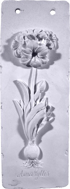 Amaryllis Plaster Plaque
