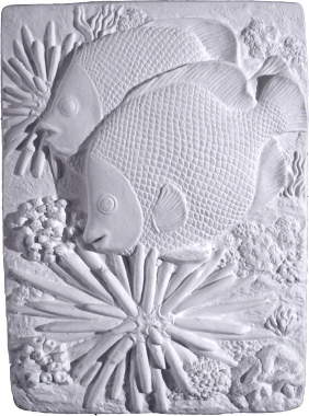 Angelfish Plaster Plaque