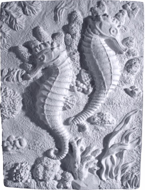 Sea horses Plaster Plaque