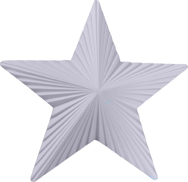 Faceted Star Plaque