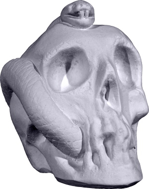 Skull with Snake Plaster Statue