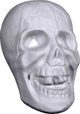 Skull Plaster Statue Small