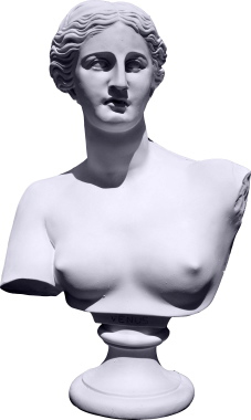 Venus Bust Plaster Statue