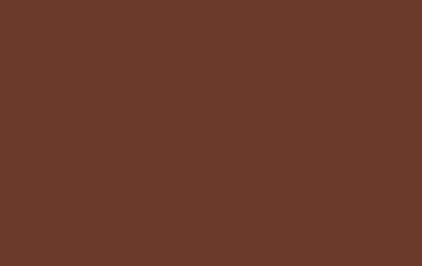 Deco Art Student Acrylics Paint Burnt Sienna