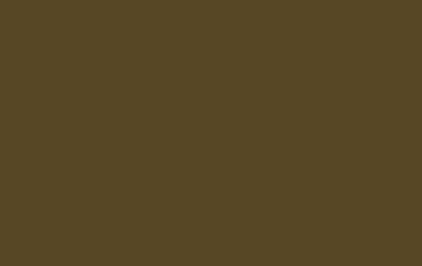 Deco Art Student Acrylics Paint Burnt Umber