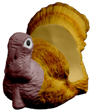 Turkey Plaster Napkin Holder