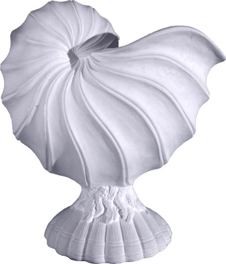 Shell  Plaster Vase