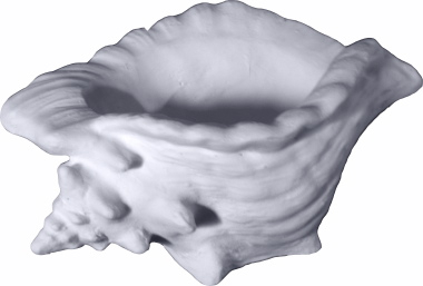 Conch Shell Small  Plaster Vase