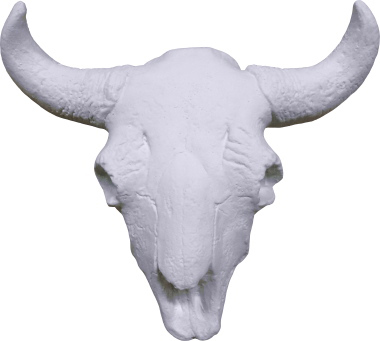 Cow skull Plaster Plaque Medium